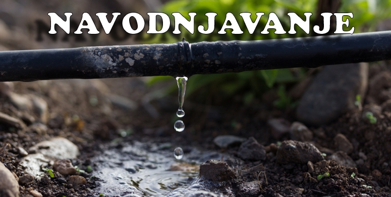 Navodnjavanje bez muke iskoristite prednosti plasticnih rezervoara